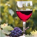 Виноделие – самое любимое ремесло в древней и современной  Болгарии